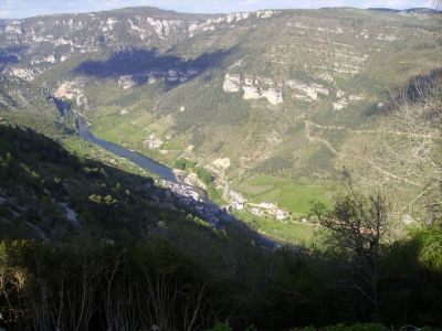 Cliquez pour agrandir