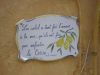 corsica 096.jpg