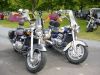 DSC00485-1[1].jpg