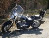 dsc00211-1.jpg