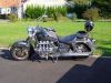 SS850165.JPG