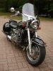 DSC02845.jpg