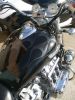 f6honda_007.jpg