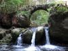 DSC00879.jpg